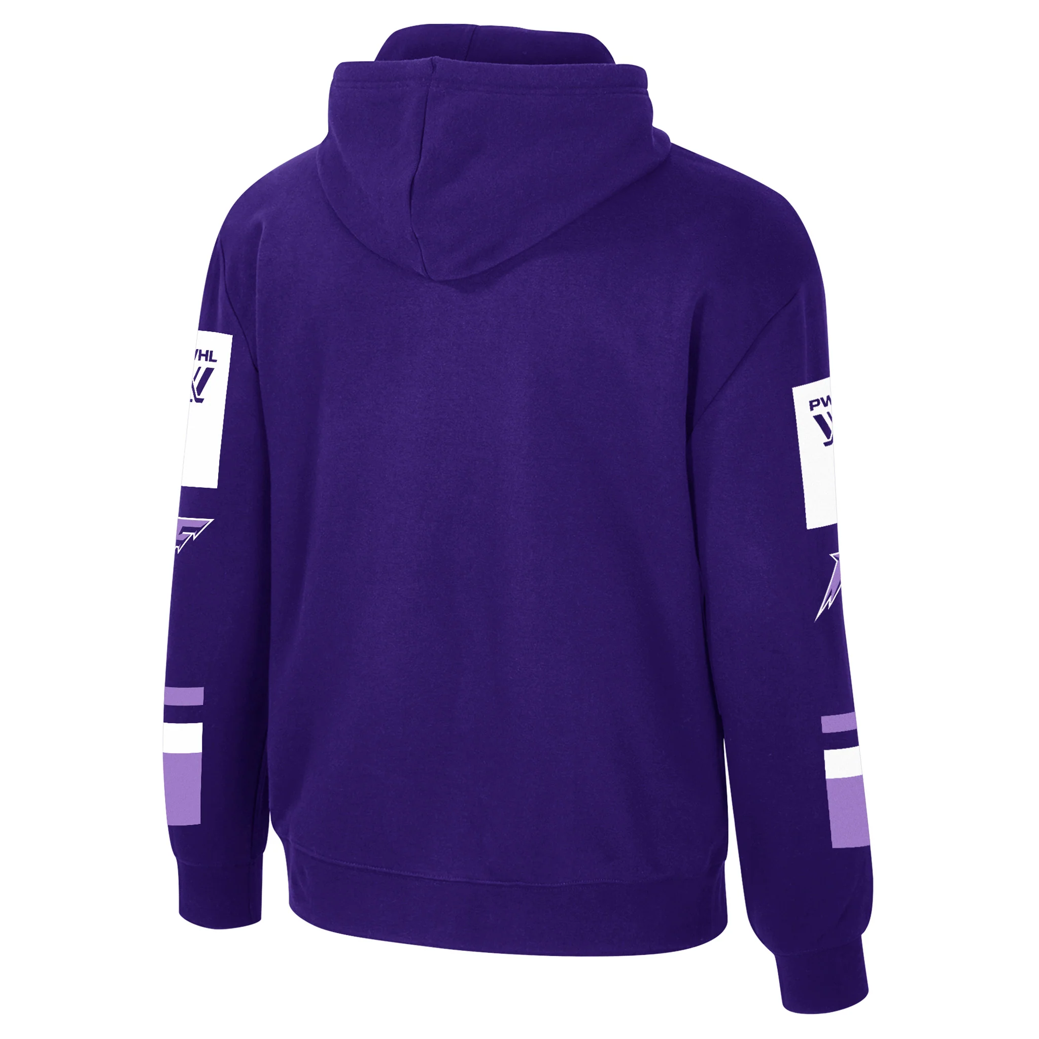 Adult Minnesota Frost Stadium Essentials City Star Hoodie - Image 2