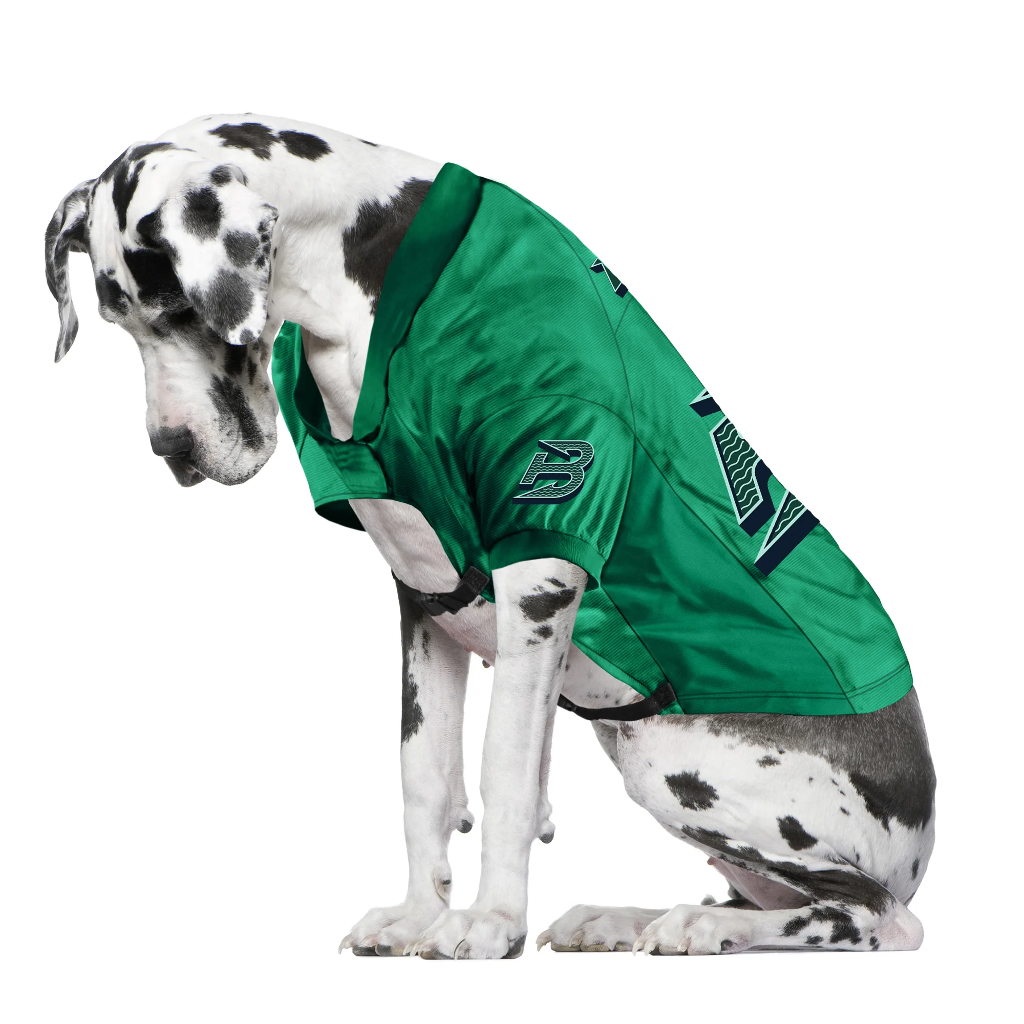 Boston Fleet Big Dog Stretch Pet Jersey