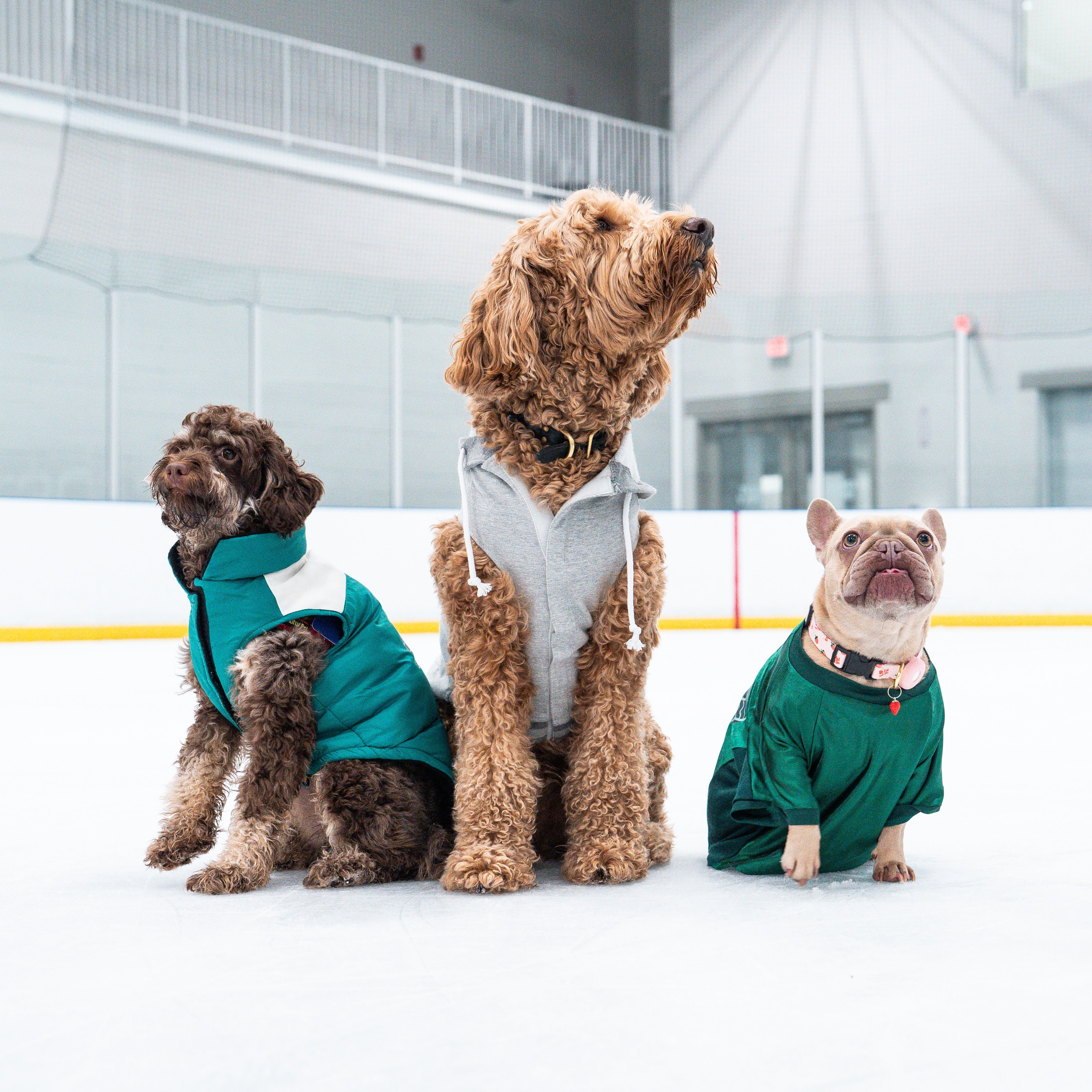 Boston Fleet Pet Hooded Crewneck - Image 3