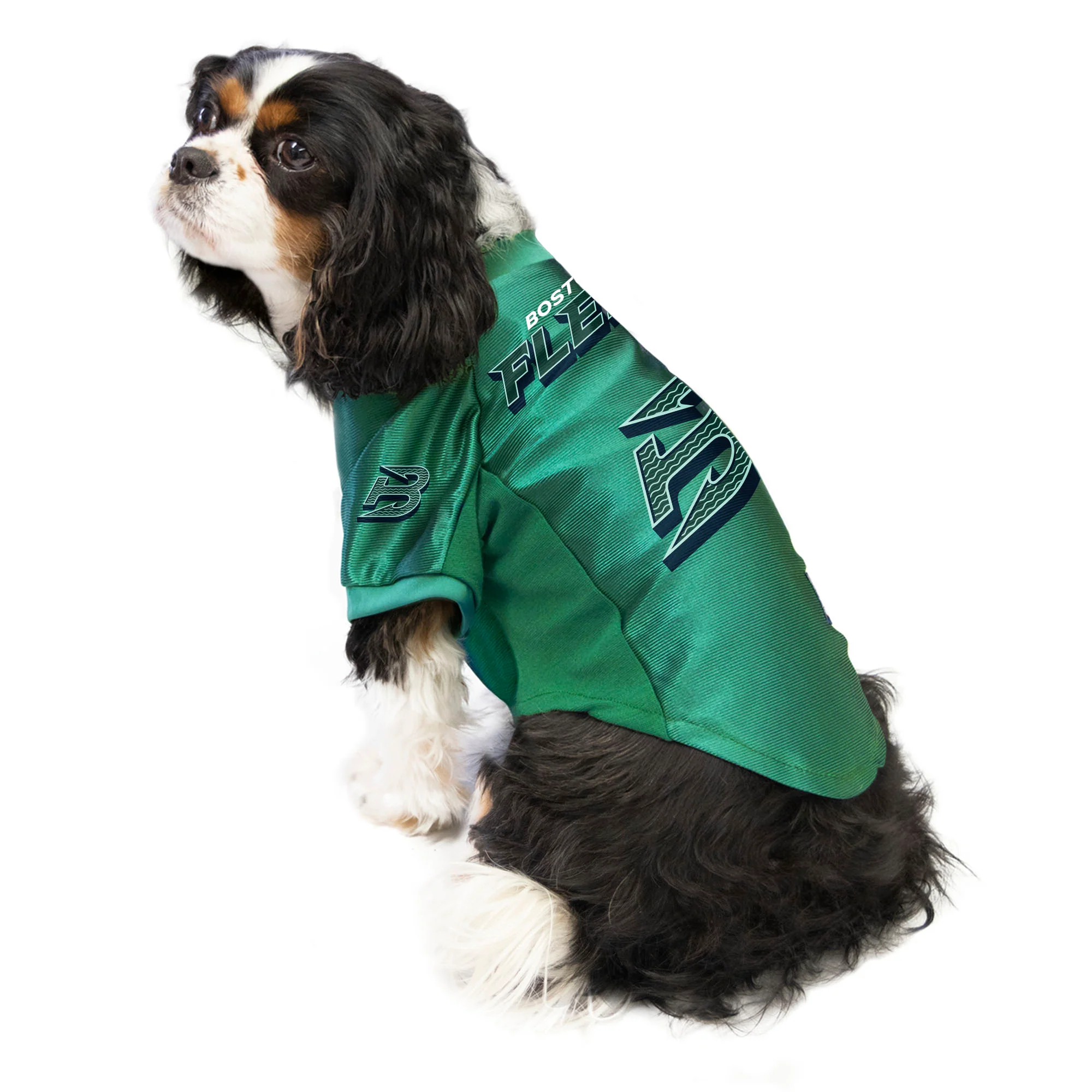 Boston Fleet Stretch Pet Jersey