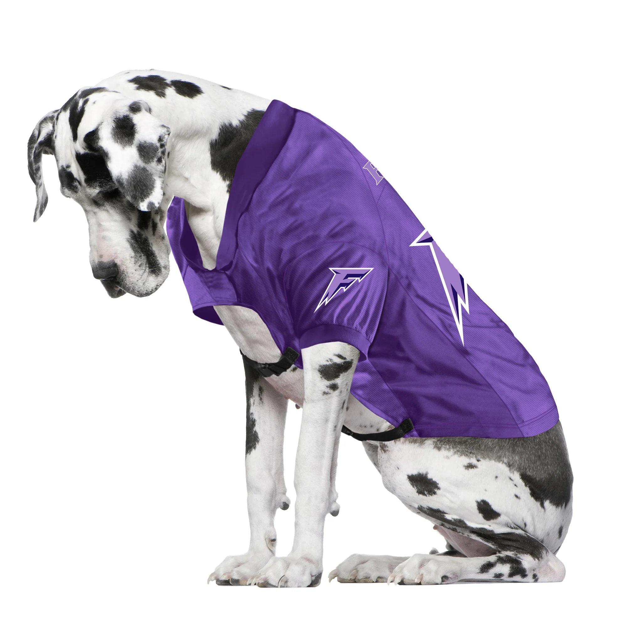 Minnesota Frost Big Dog Stretch Pet Jersey