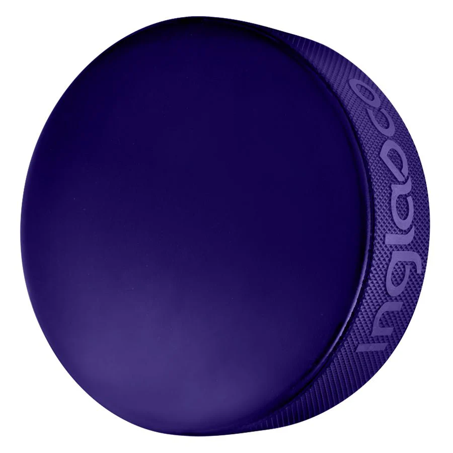 Minnesota Frost Colored Puck - Image 2