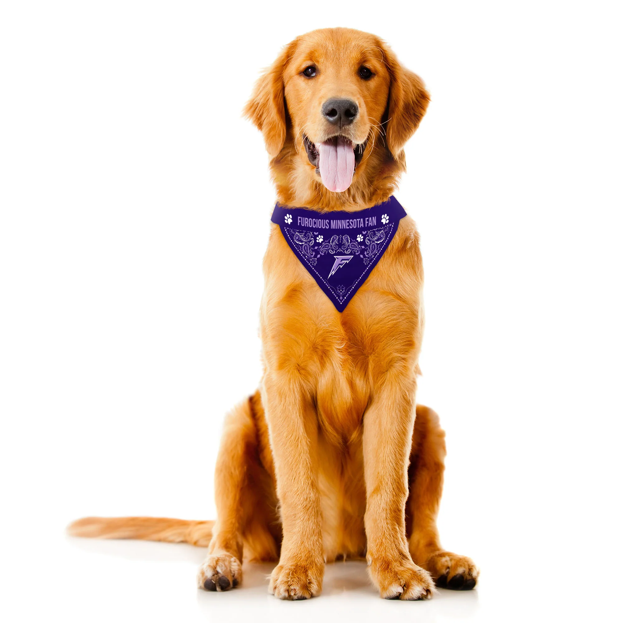 Minnesota Frost Reversible Pet Bandana