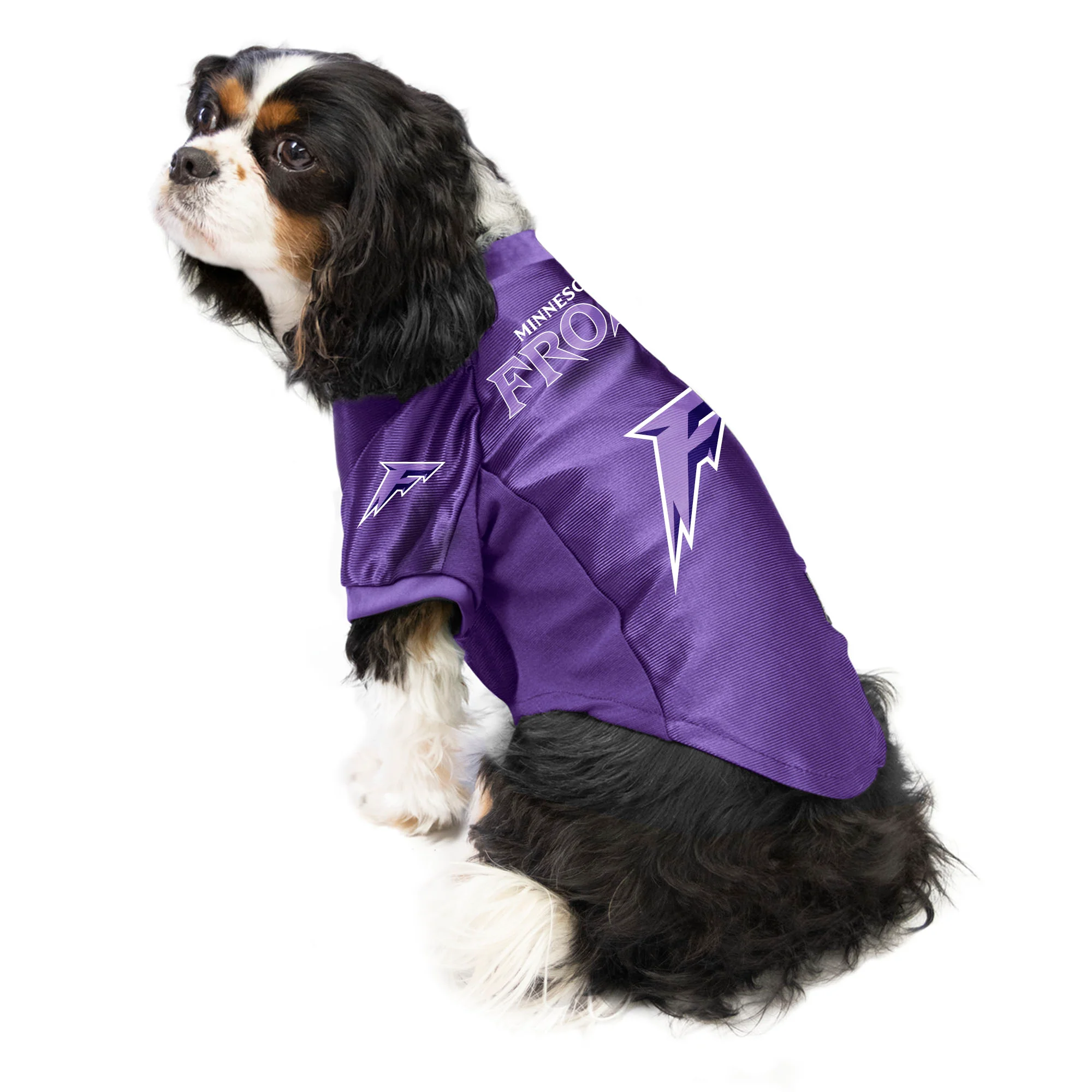 Minnesota Frost Stretch Pet Jersey