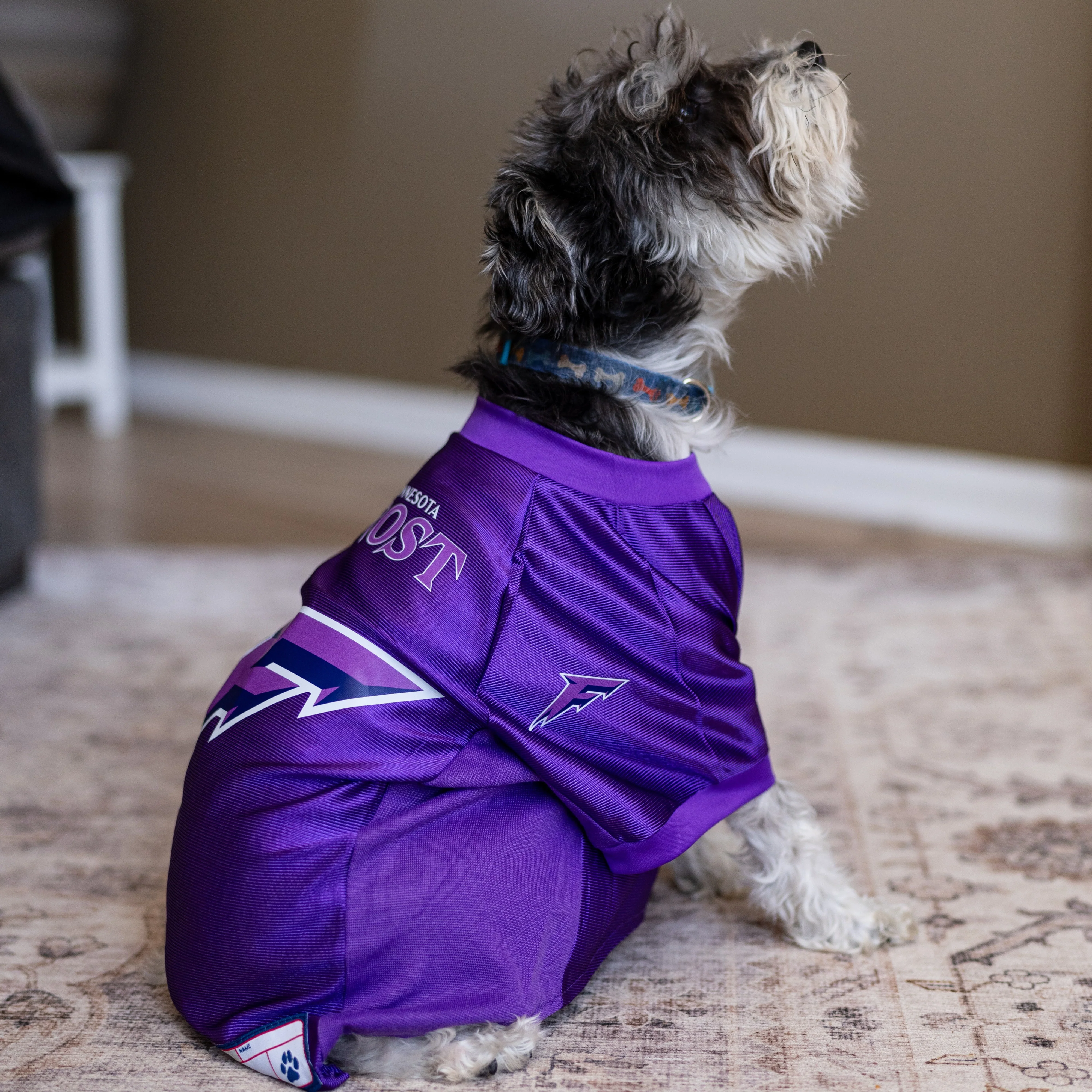 Minnesota Frost Stretch Pet Jersey - Image 2