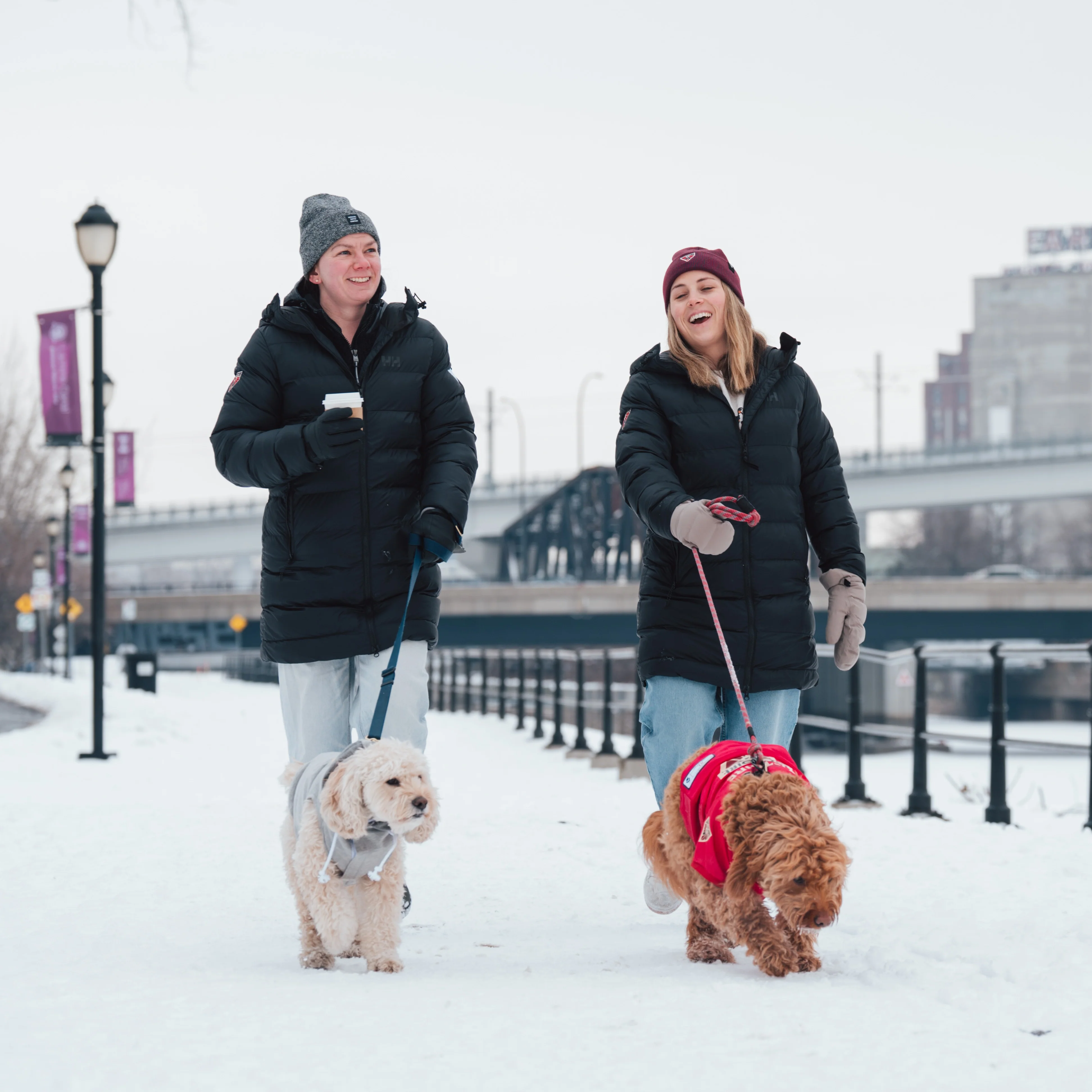 Montreal Victoire Pet Hooded Crewneck - Image 4
