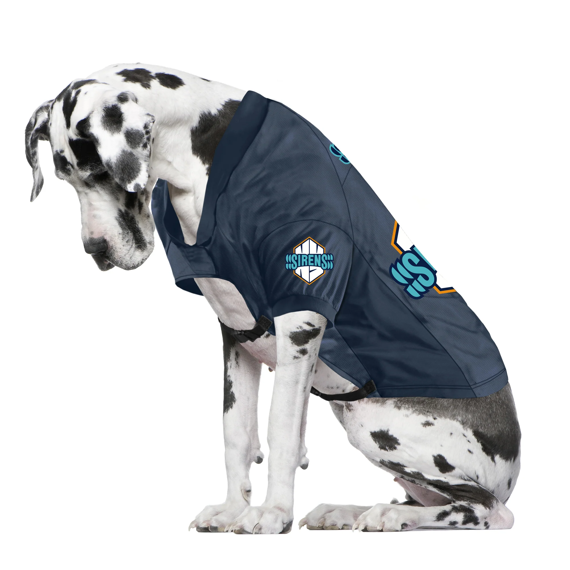 New York Sirens Big Dog Stretch Pet Jersey