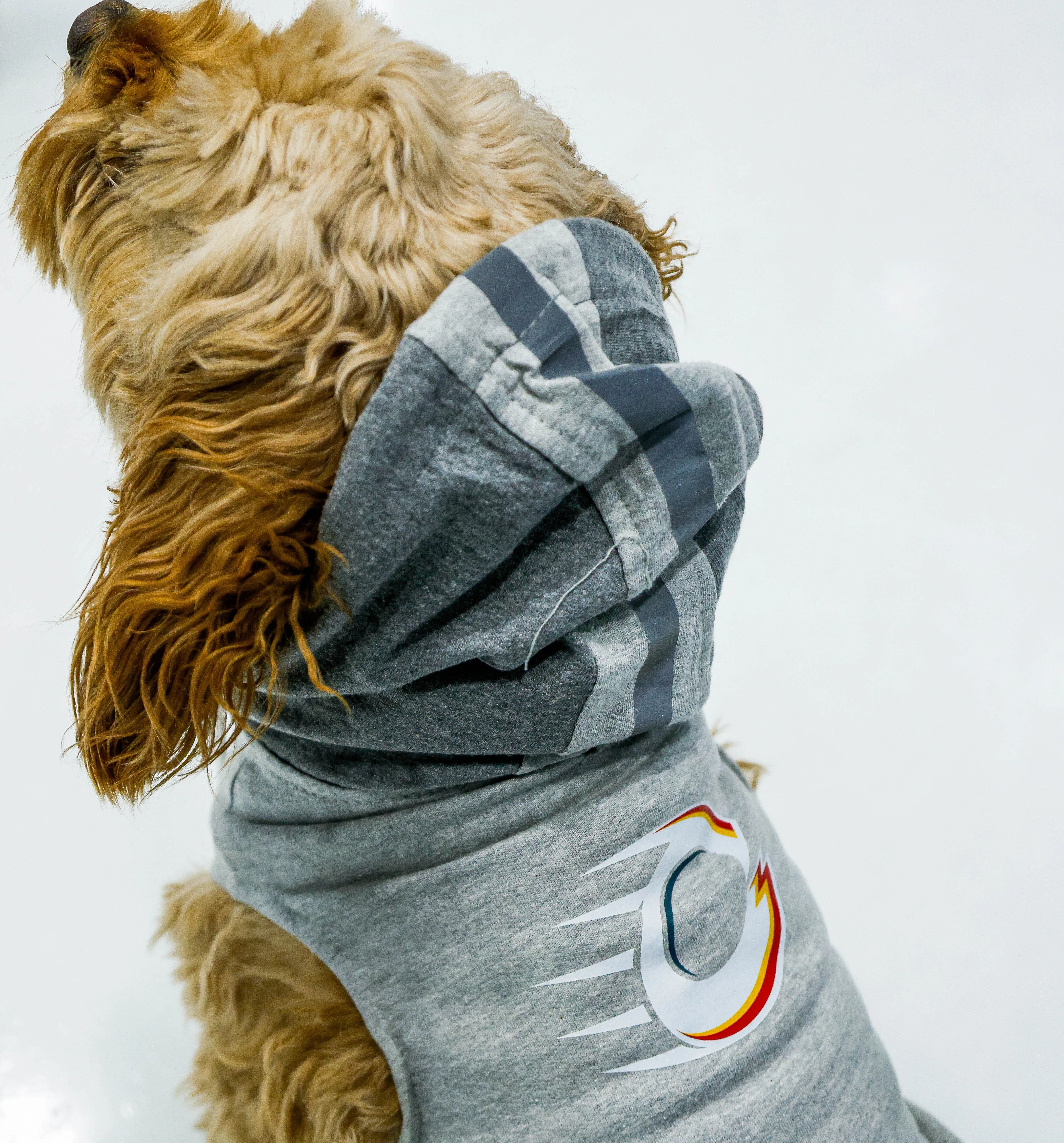 Ottawa Charge Pet Hooded Crewneck - Image 3