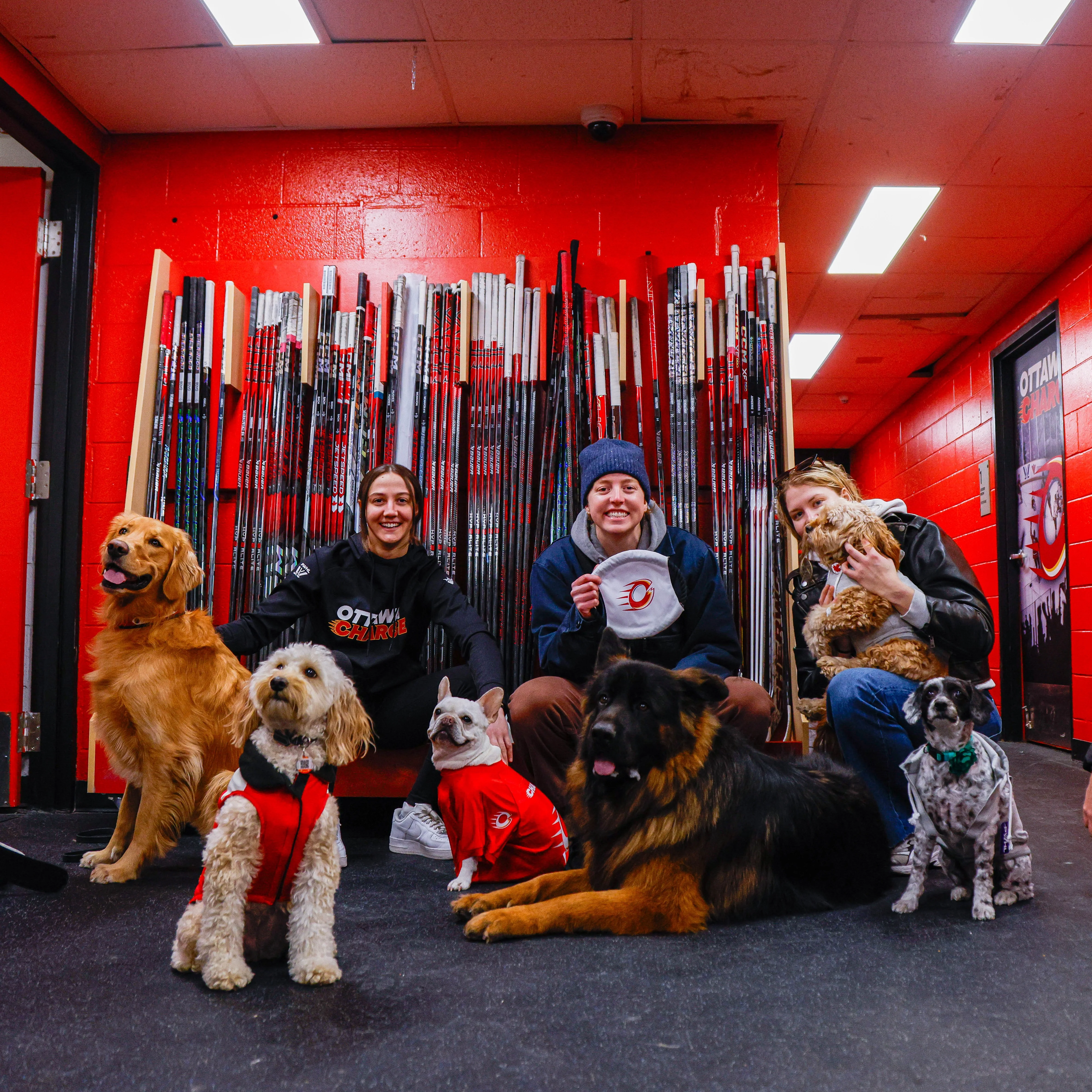 Ottawa Charge Stretch Pet Jersey - Image 3