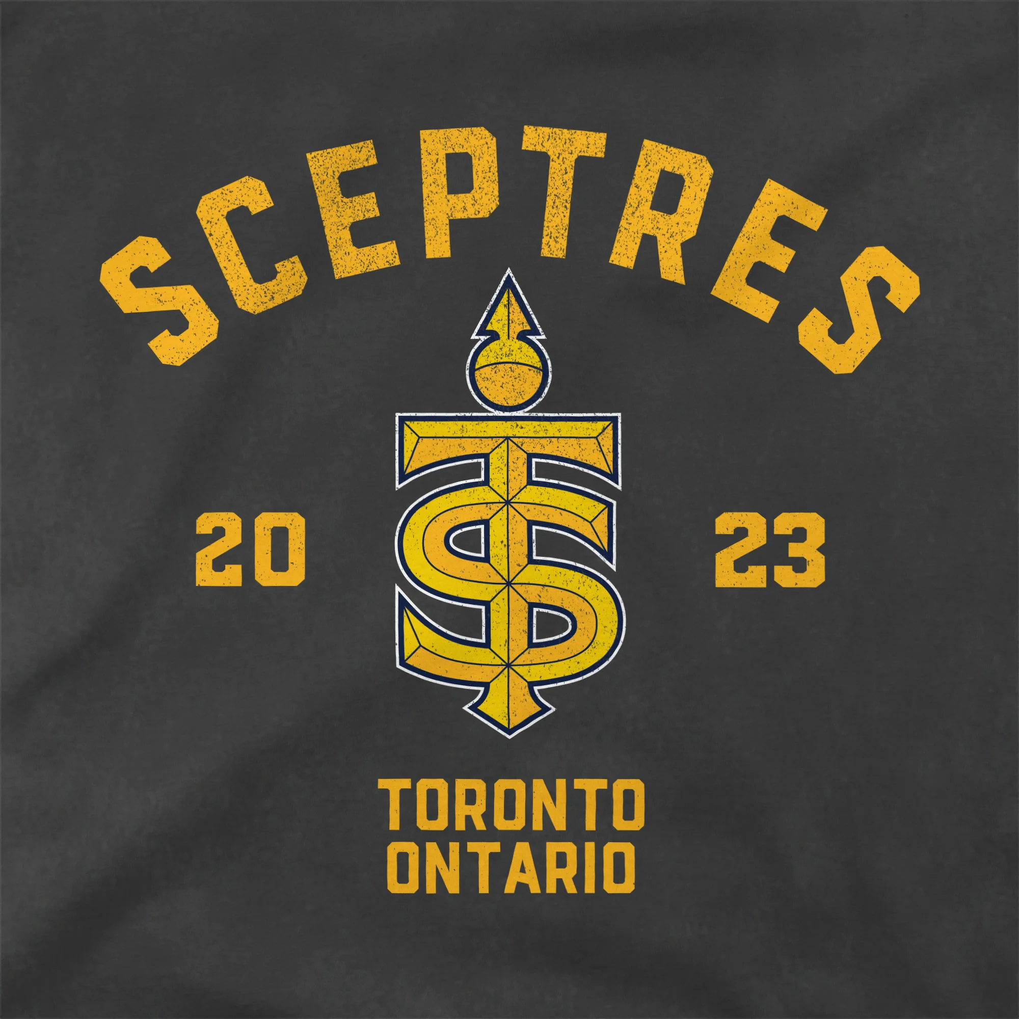 Toronto Sceptres Adult Stadium Essentials Get Back Vintage T-Shirt - Image 2
