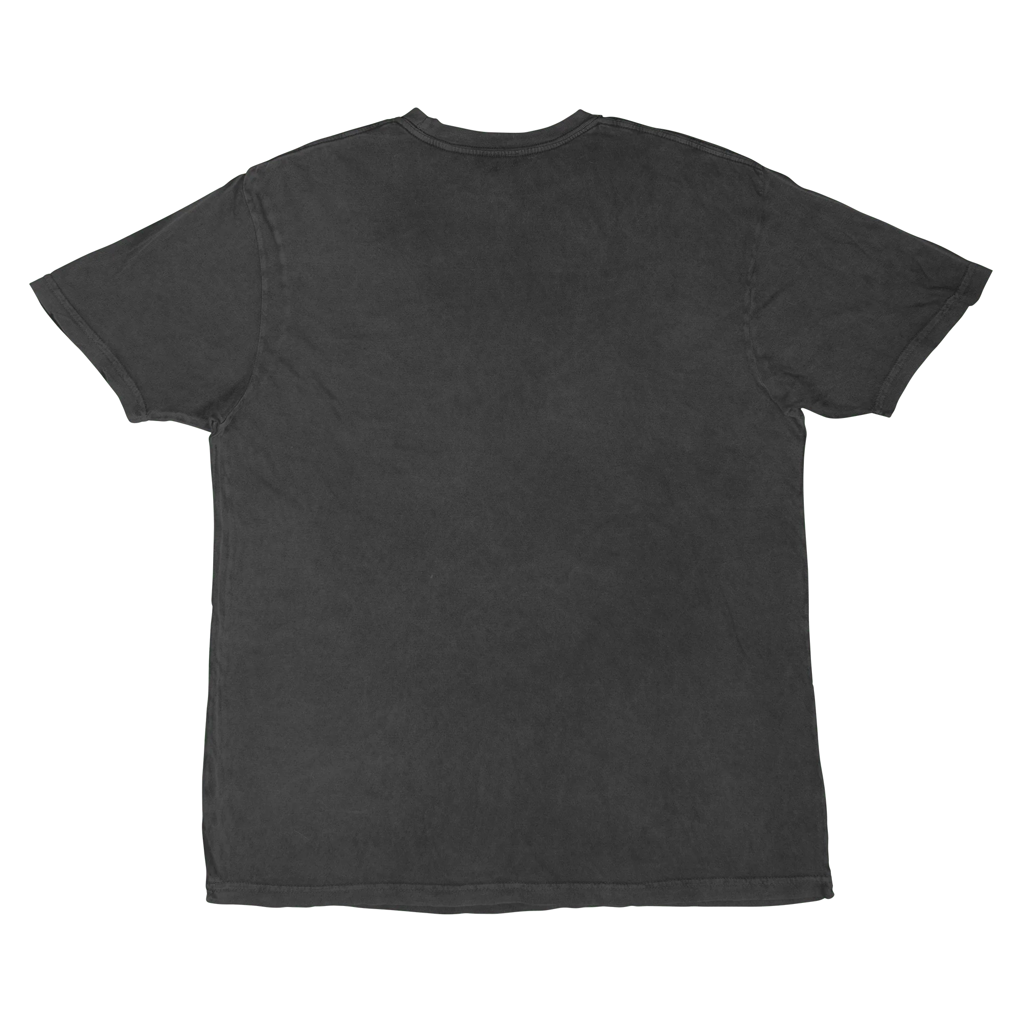 Toronto Sceptres Adult Stadium Essentials Issue Pride Vintage T-Shirt - Image 3